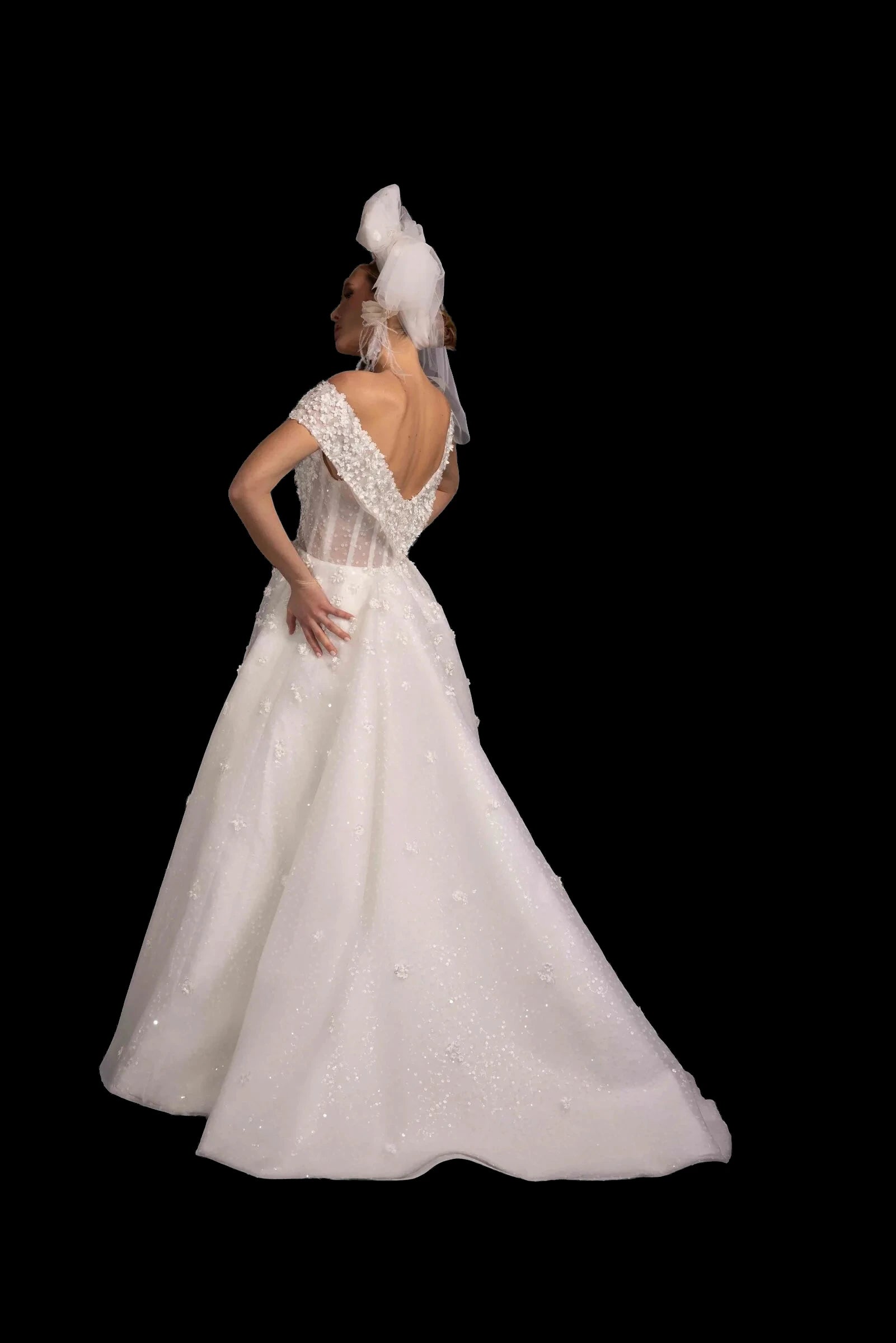 Starlight Grace, photographed against black.