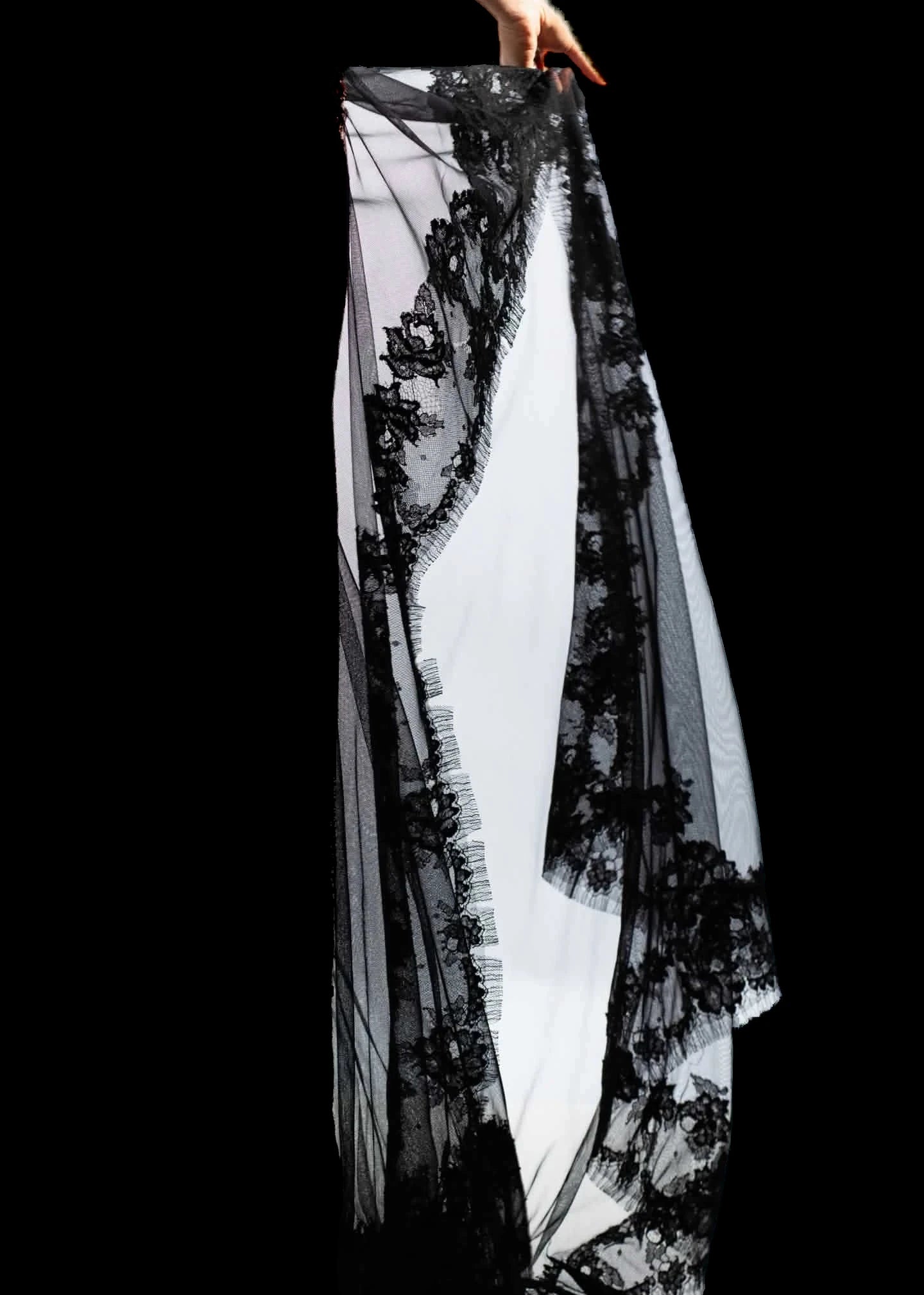 Green Mirage, photographed against black.